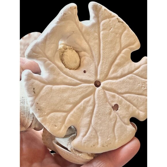 Handcrafted Shell Turtle Musician Figurines Under Palm Tree 4" T Vintage - Picture 10 of 14